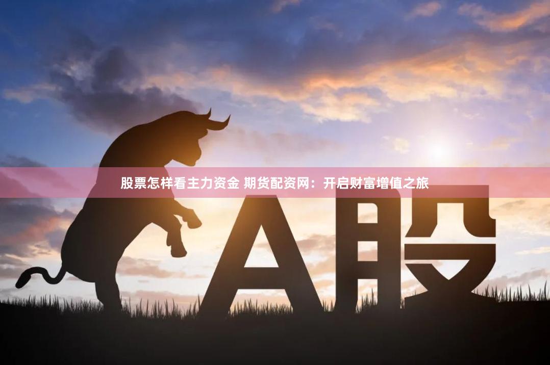 股票怎样看主力资金 期货配资网：开启财富增值之旅